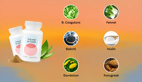 PrimeBiome benefits